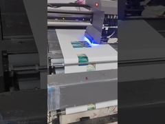 Ακατάβλητες βιομηχανικές εκτυπωτικές μηχανές Κατασκευαστές εκτυπωτής UV σε γκρι κλίμακα