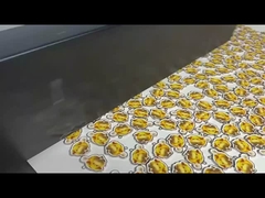 εκτυπωτή μεγάλου μεγέθους