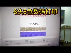 Συνεχές σύστημα εφοδιασμού μελάνης Εκτυπωτής υφασμάτων για απόδοση εκτύπωσης μελυκόλυσης