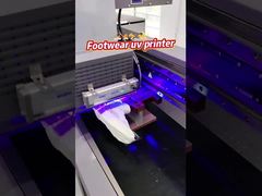 Ηλεκτρική τροφοδοσία AC 220V/50Hz/60HZ Μοναδικός διαδρόμος UV εκτυπωτής με ακροφύσιο Ricoh Gen 5i